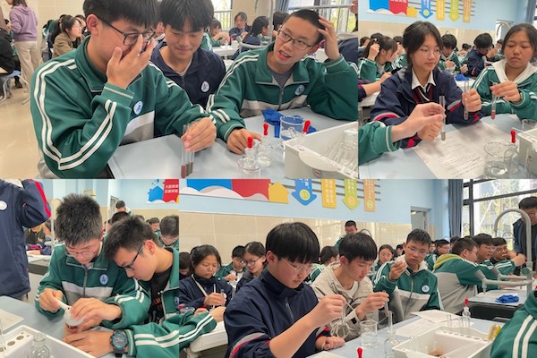 精深教研-植物中的化学实验，让学生爱上化学— 合肥一中肥东分校校本课程《趣味化学实验》-黄雨阳(2)