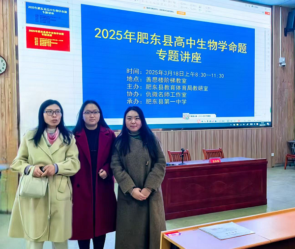 图片11