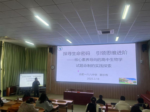 图片12